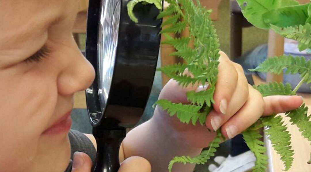 A Scoping Review of the Implication of Montessori Curriculum in Early Childhood Education