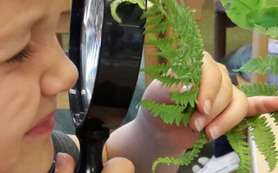 A Scoping Review of the Implication of Montessori Curriculum in Early Childhood Education